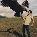 image for The size of this California Condor
