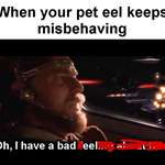 image for #just_eel_things
