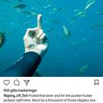 image for Instagram account about a person flipping off random fish