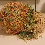 image for My rubber band ball exploded.