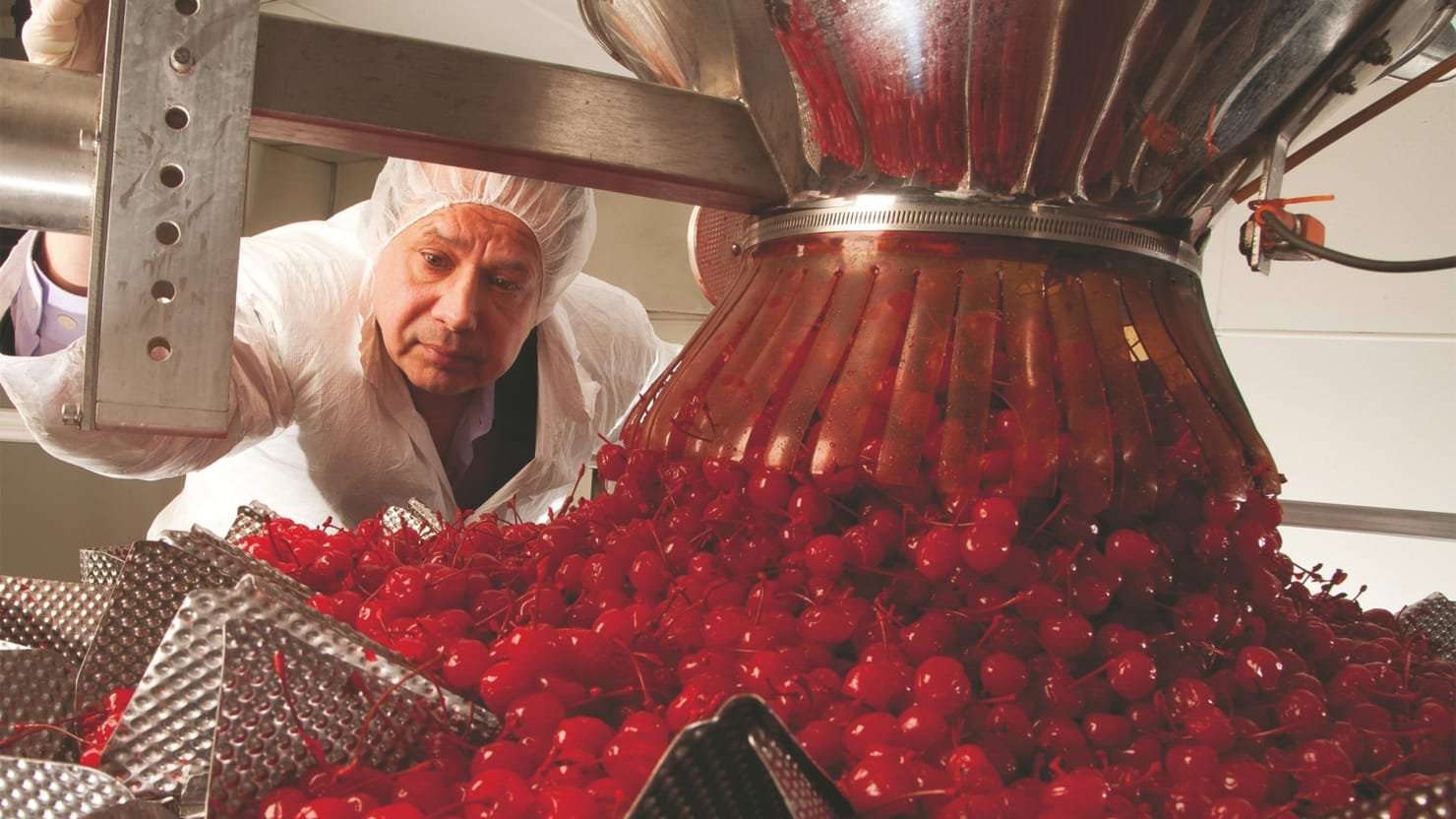 image for How Bees Revealed a Pot Farm Beneath the Maraschino Cherries