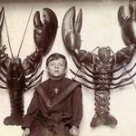 image for A boy between two mounted lobsters caught off the New Jersey coast. 1916 (500X388)