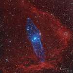 image for The recently discovered Giant Squid Nebula in the constellation Cepheus