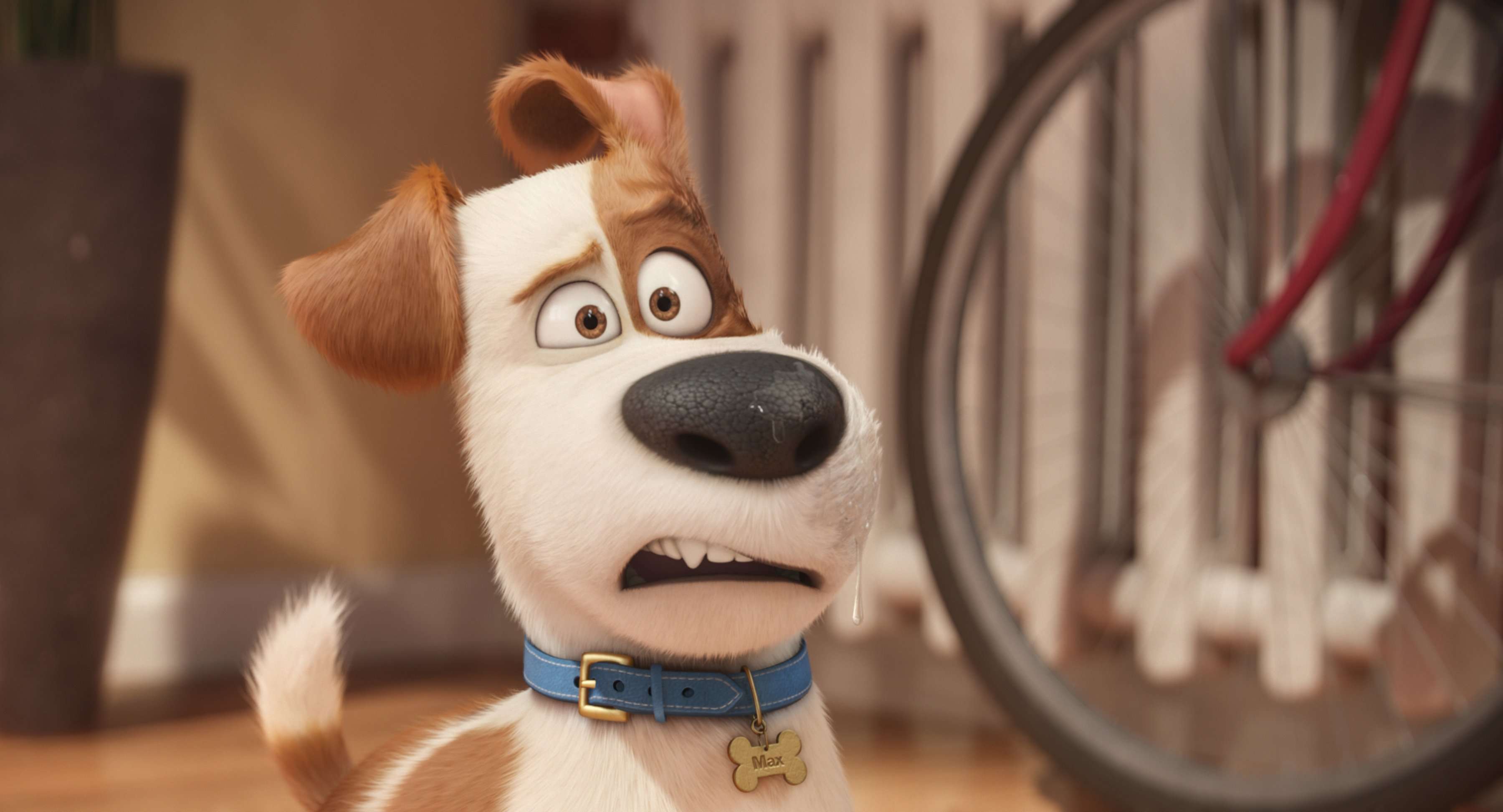 image for Patton Oswalt Replacing Louis C.K. in ‘Secret Life of Pets 2’; Harrison Ford Joins Cast
