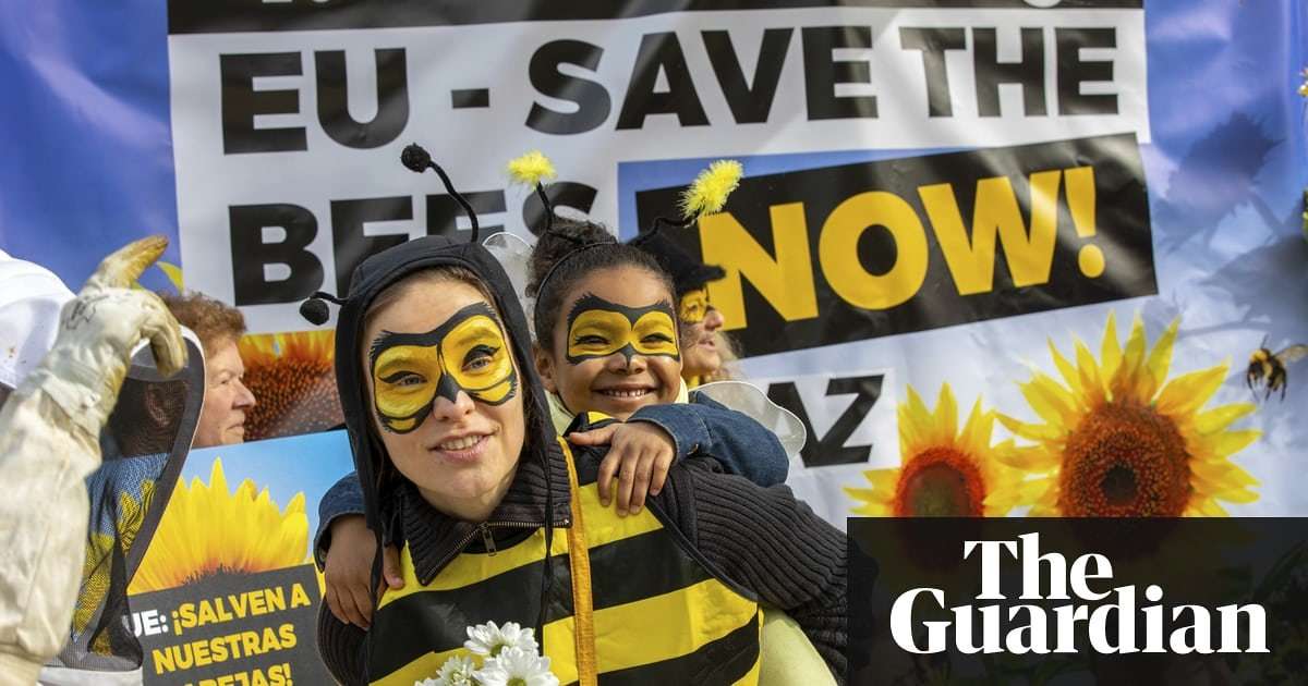 image for EU agrees total ban on bee-harming pesticides