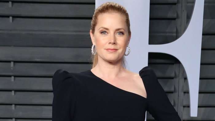 image for Amy Adams to Star in Joe Wright’s ‘Woman in the Window’