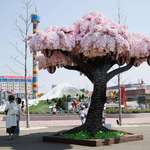 image for Legoland Japan has set a new Guinness World Records title after building a life-size sakura tree using over 800,000 Lego bricks