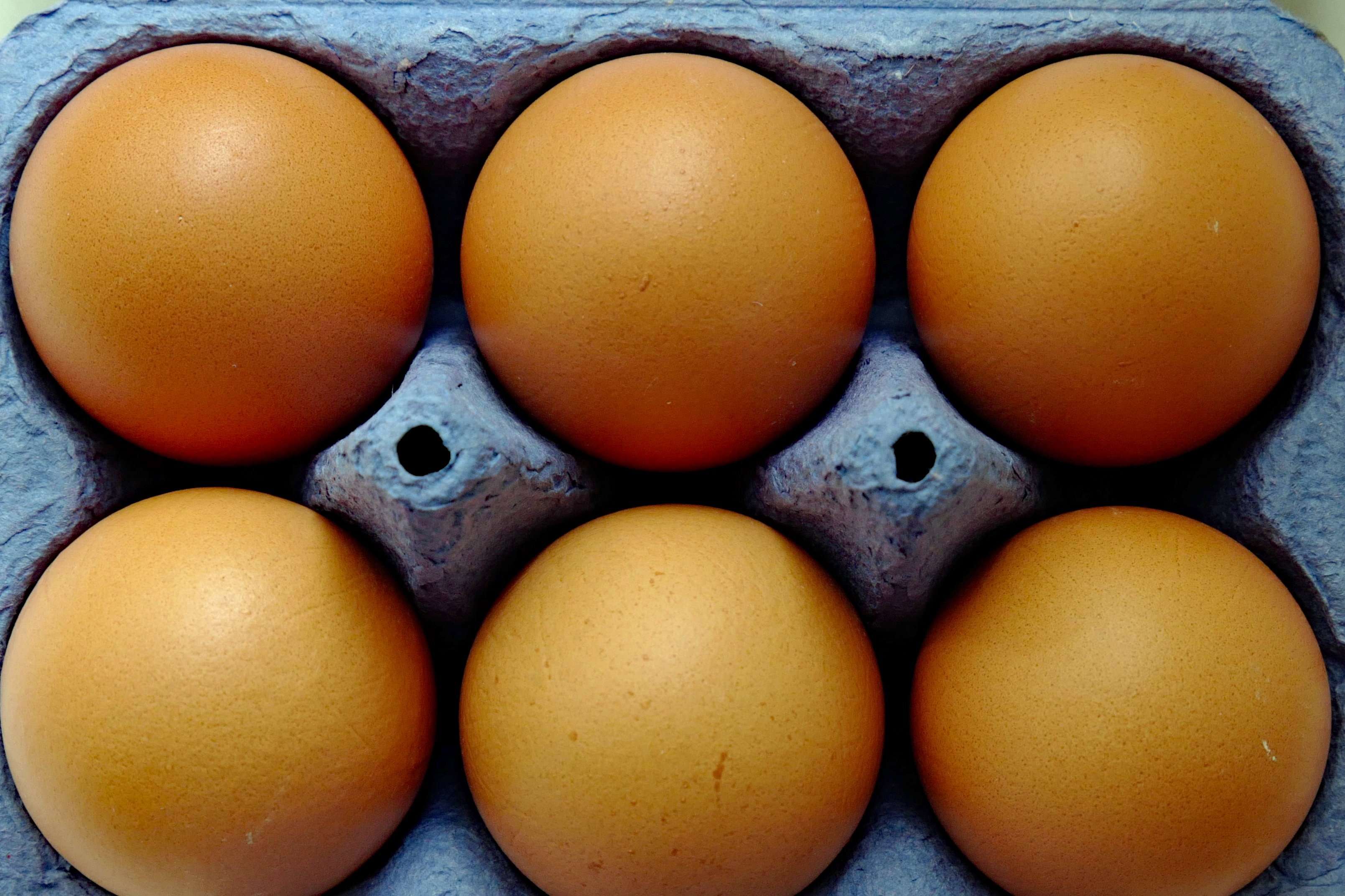 image for Eggs not linked to cardiovascular risk, despite conflicting advice