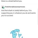 image for There's a shark behind you