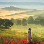 image for Tuscan spring