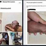 image for Guy posts picture of his puppy on Facebook. Someone didn't like it.