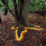 image for Leaves arranged under a tree by Andy Goldsworthy