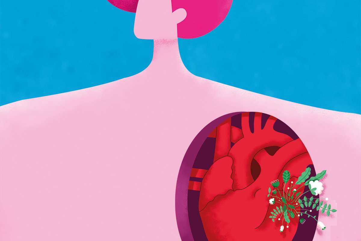 image for Self-repairing organs could save your life in a heartbeat