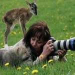 image for This photographer who was approached by a baby deer and a baby wolf