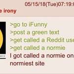 image for Anon experience irony