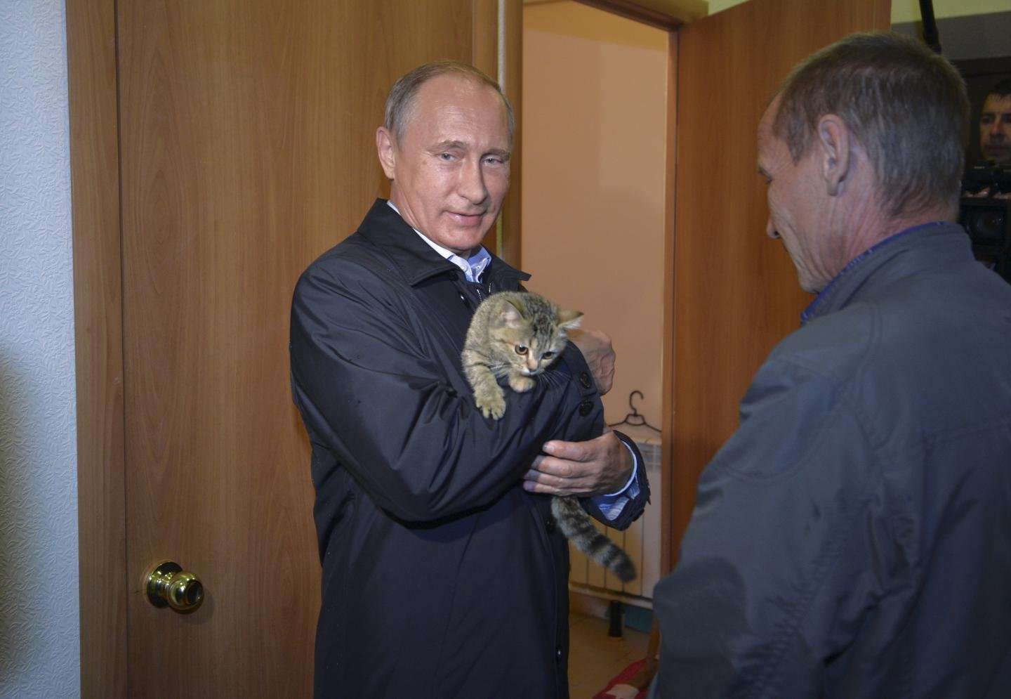 image for Vladimir Putin Beaten by a Cat as First to Cross $4 Billion Crimea Bridge