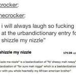image for Shizzle my nizzle