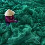 image for This fishnet worker in Vietnam