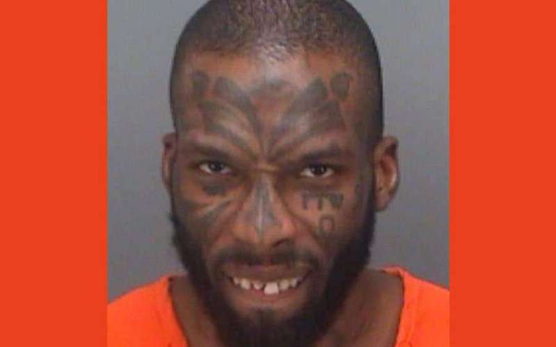 image for Florida man climbs on playground equipment to tell children where babies come from