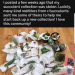 image for a fellow redditor had plants stolen, wonderful peeps in r/succulents came through