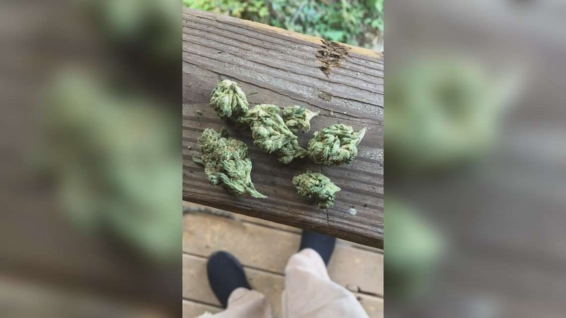 image for Georgia family loses custody of son after giving him marijuana to treat seizures