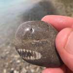 image for Found a rock that looks like a shark.
