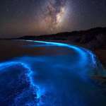 image for Bioluminescent photoplankton at night