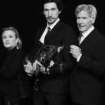image for The Solo’s family