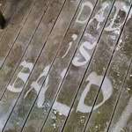 image for My kid's grounded so she had to help power wash the deck. I came back to this. Grounding extended.