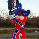 image for Cursed_Furry