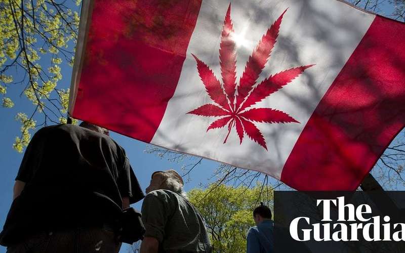 image for All eyes on Canada as first G7 nation prepares to make marijuana legal