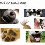 image for Good boy starter pack