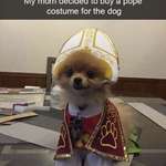 image for Cute doggo in pope costume