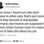 image for Cats are evil