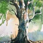 image for Tree, Watercolor on paper, Size 15 X 11 inches.
