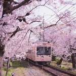 image for Train in Kyoto, Japan.
