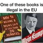 image for EU MEMES ARE RISING, INVEST QUICKLY BEFORE IT'S TOO LATE.