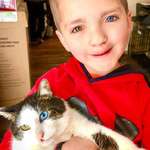 image for Bullied 7 Year-Old Finds Cat With Same Rare Eye Condition And Cleft Lip, And It’s Like Destiny Exists