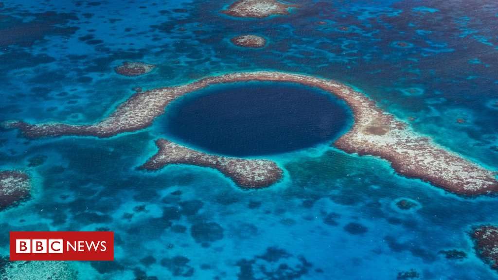 image for Belize praised for 'visionary' steps to save coral reef