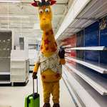 image for Toys r Us giraffe saying goodbye one last time