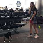 image for Woman let dog poop in middle of airport, refused to clean it up, and flipped off the person filming her