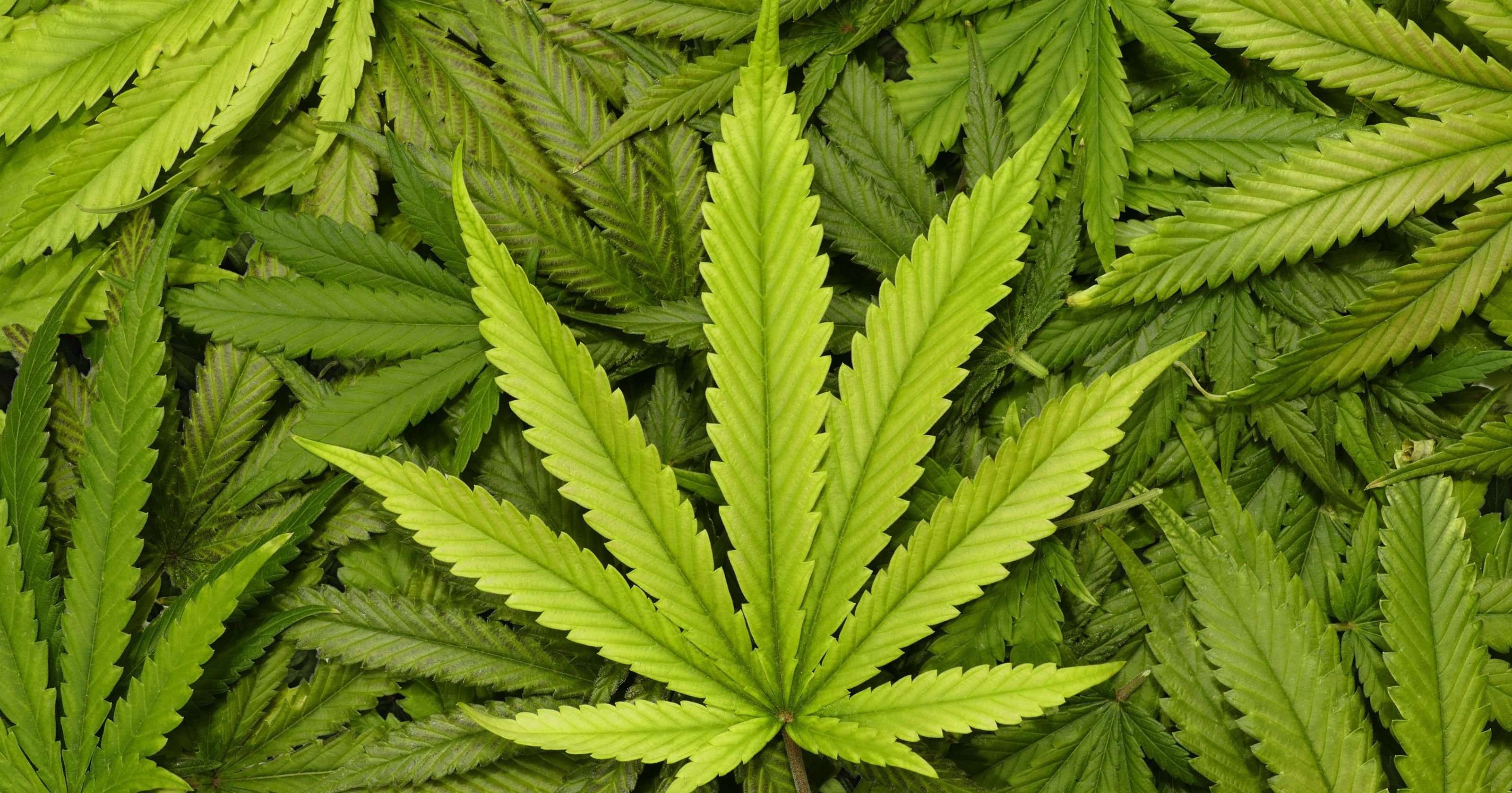 image for Vermont's legal marijuana era dawns