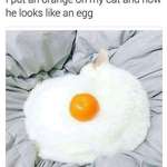 image for Forbidden fried egg