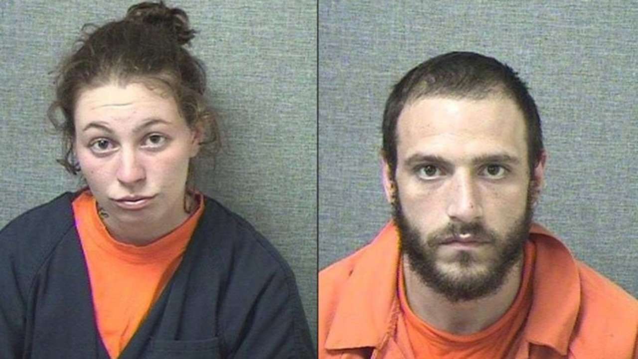 image for Police: Pair high on bath salts fired gun at fireflies, mistaking them for alien lasers