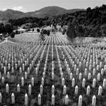 image for Today marks 23 years since the Srebrenica Genocide in which 8373 Bosniak civilians were brutally murdered