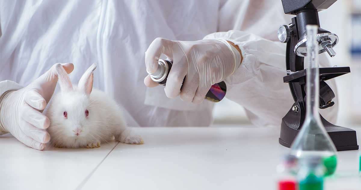 image for It's Official, Canada Is Making Cosmetic Testing On Animals Illegal