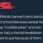 image for imagine quitting over camo pants