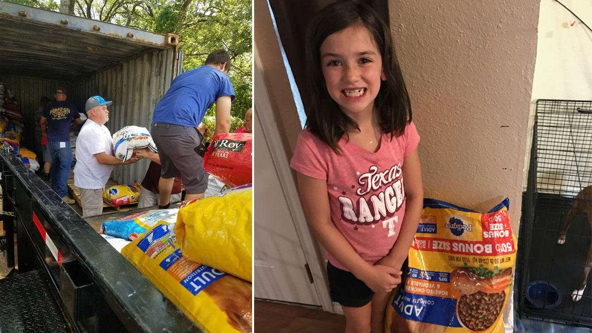 image for 8-Year-Old Girl's Birthday Wish Prompts Huge Donation Drive