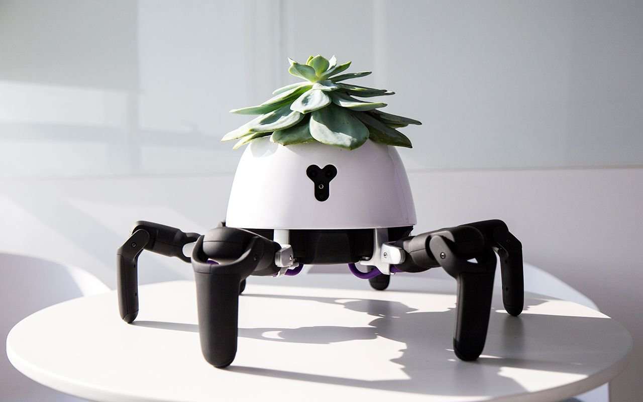 image for This sun-chasing robot looks after the plant on its head
