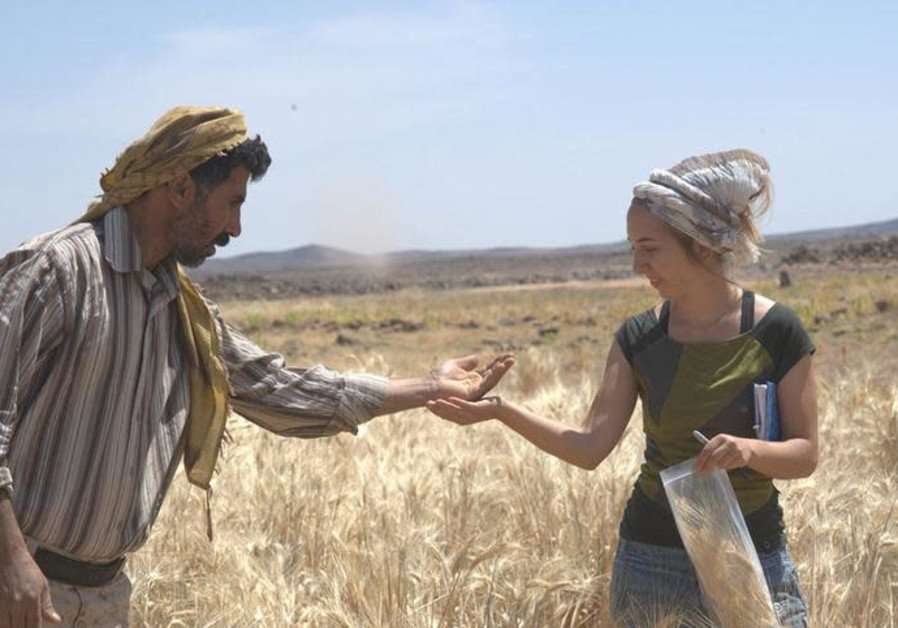 image for World's oldest bread found at prehistoric site in Jordan